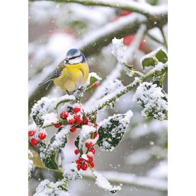Blue Tit and Frosted Berries - Personalised Christmas Cards